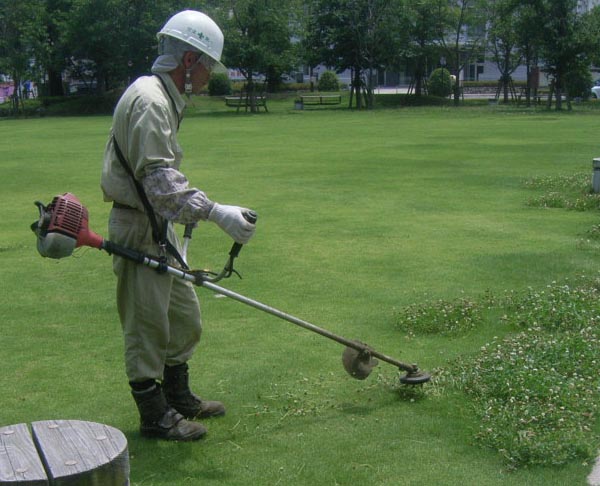 草払い写真