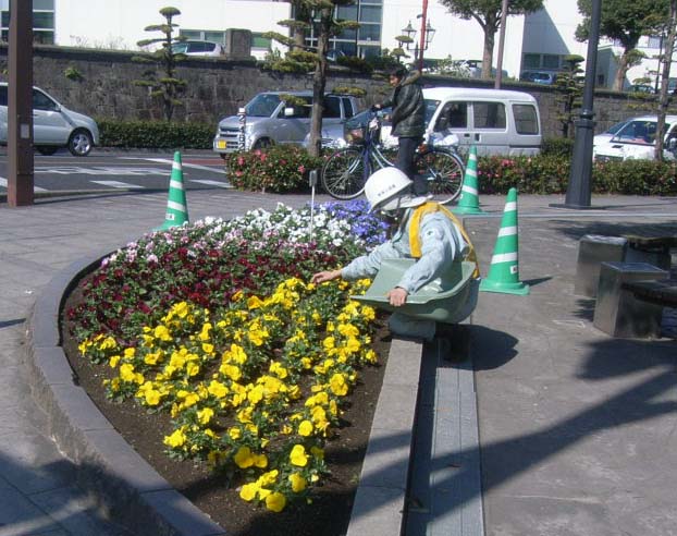 花壇管理写真2