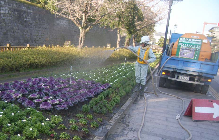 花壇管理写真1