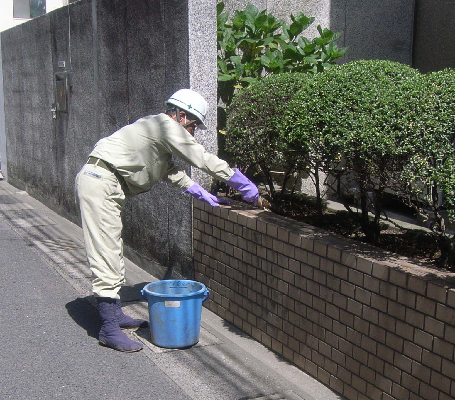 施肥写真